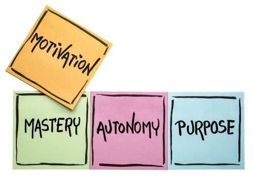 motivation, mastery, autonomy and purpose