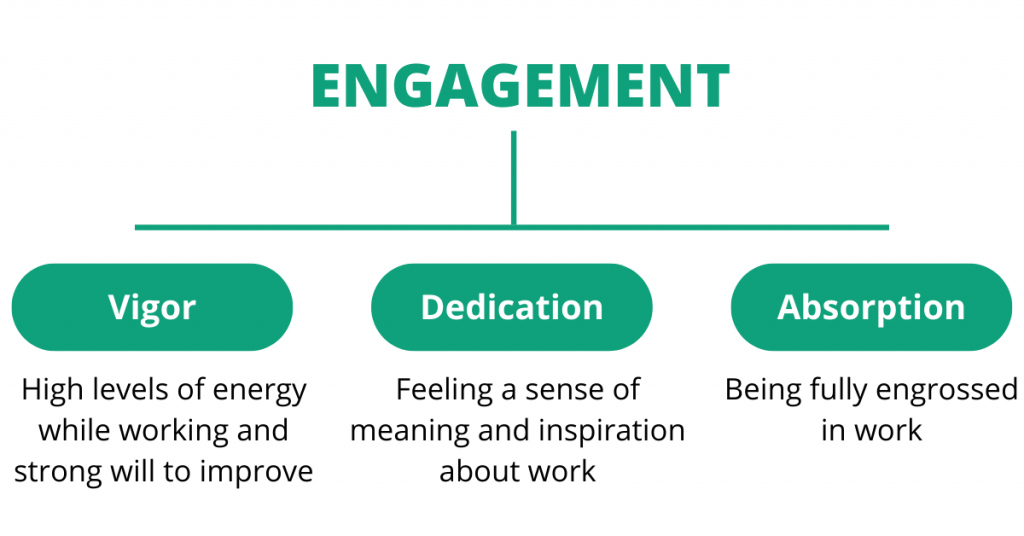 Engagement dimensions