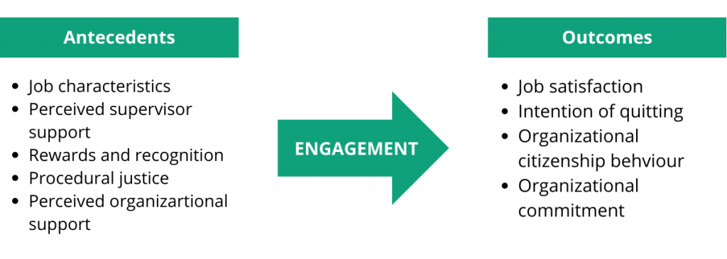 Antecedents and Outcomes of Engagement