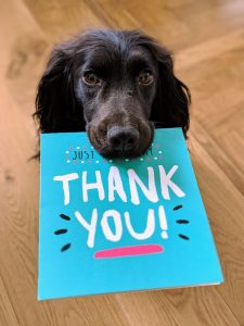 Dog holding a "Thank you" note